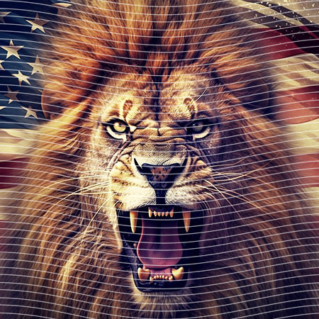 20oz integrate-EJ-10668